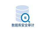 資料庫審計系統DAS